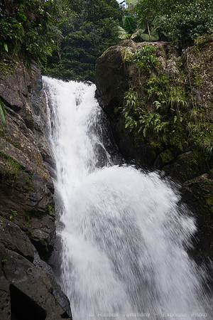 DSC06289