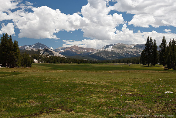 Yosemite NP