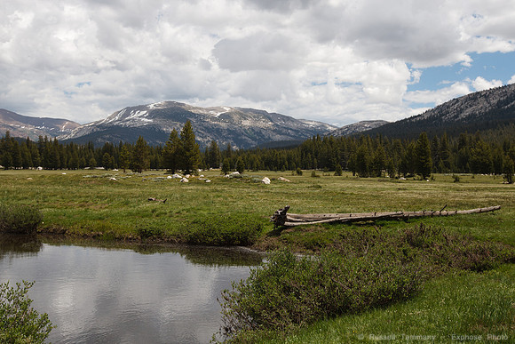 Yosemite NP