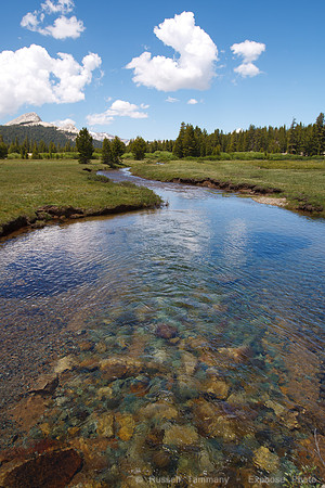 Yosemite NP