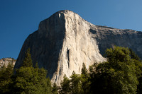 Yosemite NP