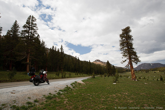 Yosemite NP