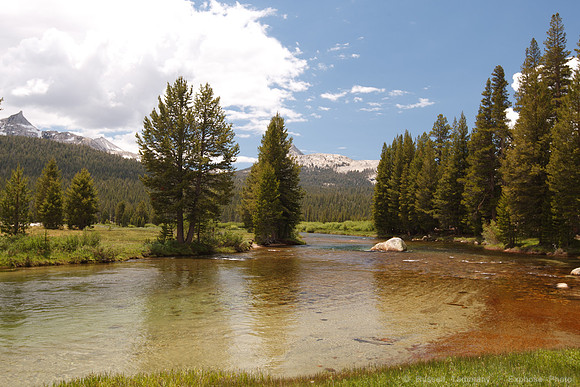 Yosemite NP