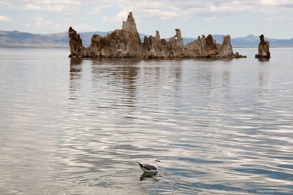 Mono Lake Tufas