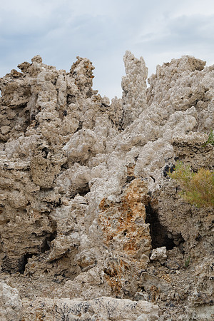 Mono Lake Tufas