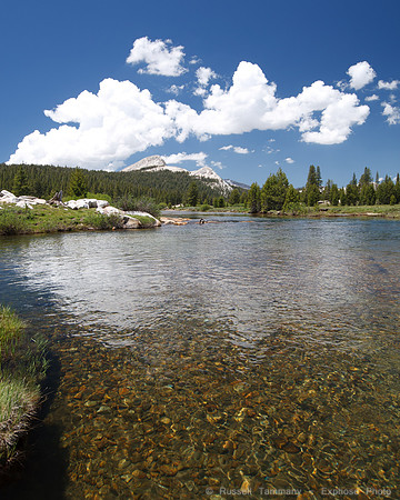 Yosemite NP