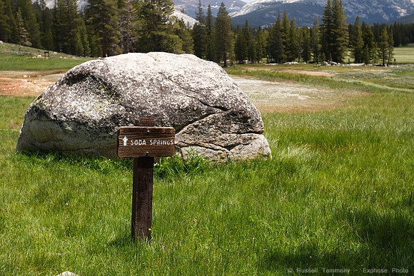 Yosemite NP