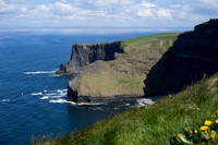 DSC02921