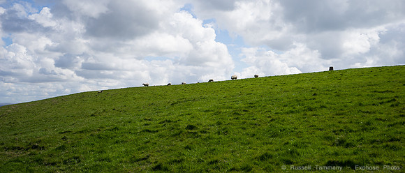 DSC03008