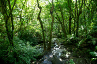 DSC06169