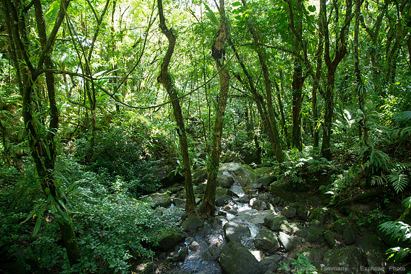 DSC06169