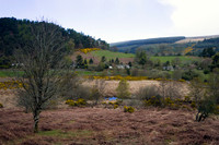 DSC02691