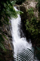 DSC06246