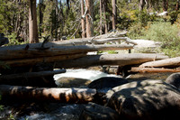 Yosemite NP