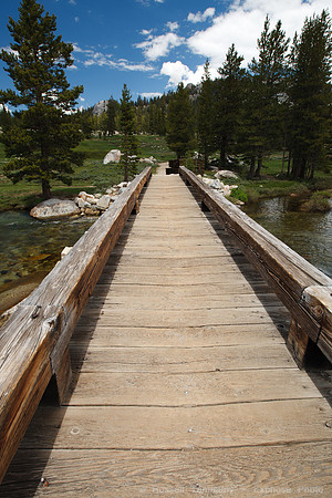 Yosemite NP