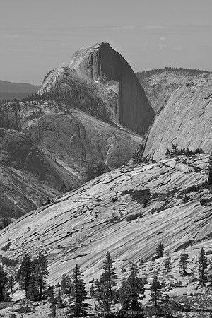 Yosemite NP