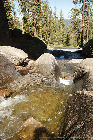 Yosemite NP