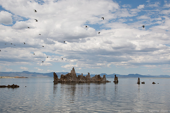 Mono Lake Tufas