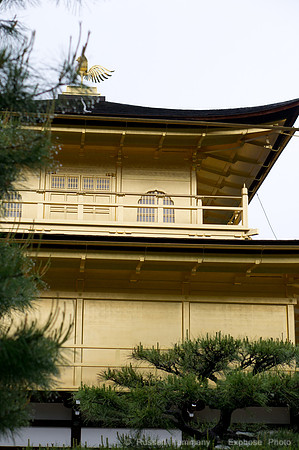 Kinkaku-ji (Golden Pavillion) - Kyoto, JP
