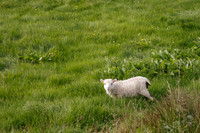 Southern Iceland, Ring Road 1