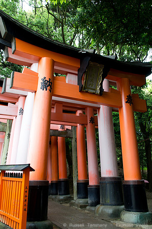 Fushimi Inari Shrine - Kyoto, JP