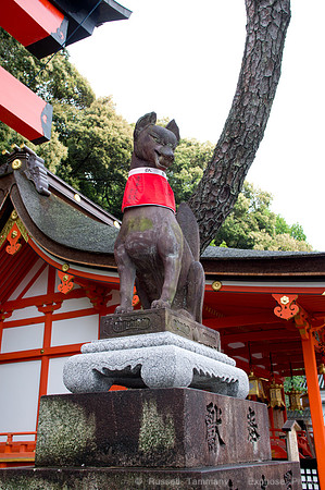 Fushimi Inari Shrine - Kyoto, JP