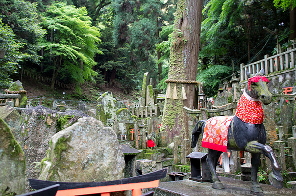 Fushimi Inari Shrine - Kyoto, JP