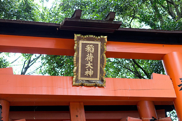 Fushimi Inari Shrine - Kyoto, JP