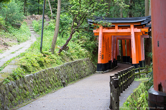 Fushimi Inari Shrine - Kyoto, JP