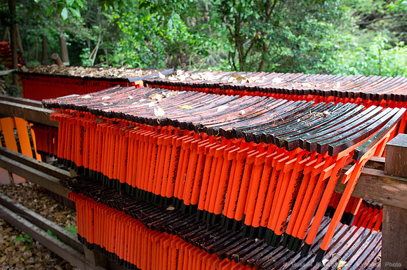 Fushimi Inari Shrine - Kyoto, JP
