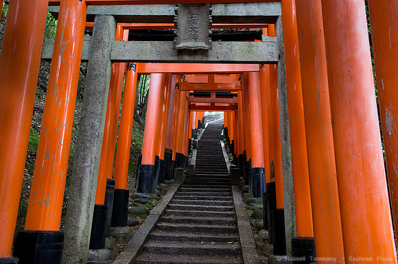 Fushimi Inari Shrine - Kyoto, JP