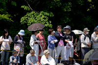 Aoi Matsuri (Hollyhock Festival) - Kyoto, JP