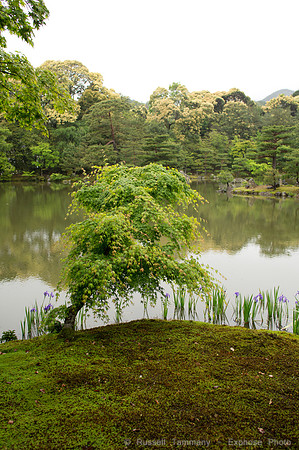 Kinkaku-ji (Golden Pavillion) - Kyoto, JP