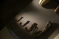 þjóðminjasafn (National Museum of Iceland)