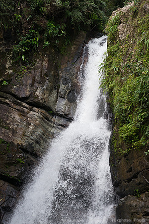 DSC06262