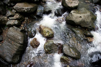 DSC06321