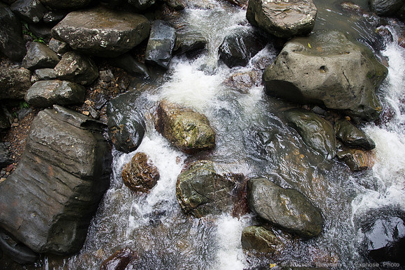 DSC06321