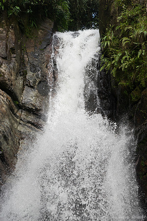 DSC06276