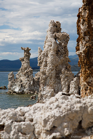 Mono Lake Tufas