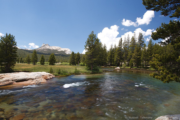 Yosemite NP