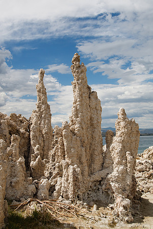 Mono Lake Tufas