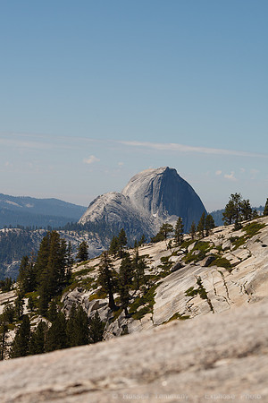 Yosemite NP