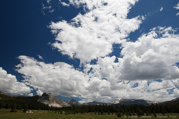 Yosemite NP