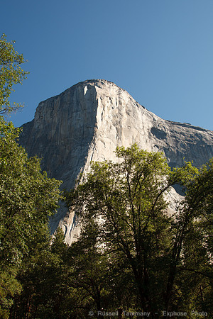Yosemite NP