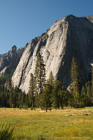 Yosemite NP