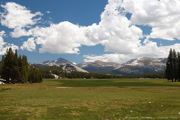 Yosemite NP