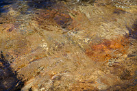 Yosemite NP