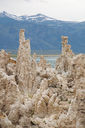 Mono Lake Tufas