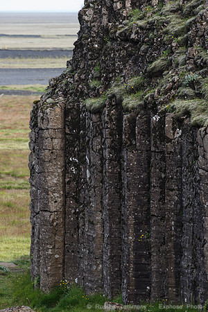 Basalt Columns near Hwy 1