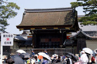 Aoi Matsuri (Hollyhock Festival) - Kyoto, JP